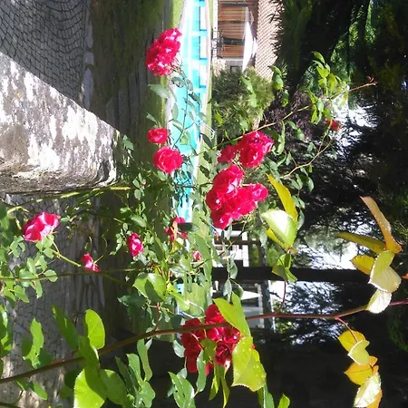 بيت للعطل Casa Da Boavista سانتا ماريا دا فييرا