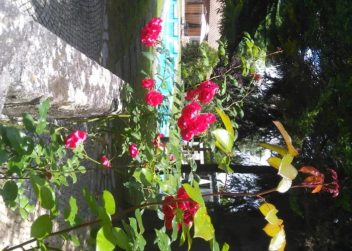 Feriehus Casa Da Boavista Santa Maria da Feira